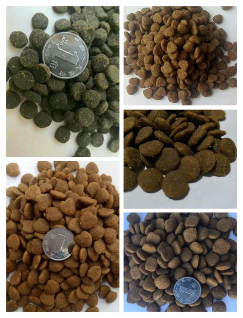 山東寵物用品產(chǎn)業(yè)大數(shù)據(jù)解析與采購指南 聚焦異合日用百貨網(wǎng)