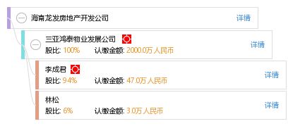 海南龍發(fā)房地產(chǎn)開(kāi)發(fā)公司 企業(yè)信息綜合查詢(xún)與房地產(chǎn)咨詢(xún)指南